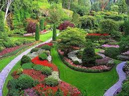 2026美加墨世界杯官网 宝坻市政绿化树木品种大全
